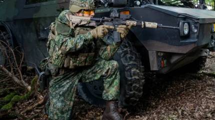 Нидерланды находятся в повышенной готовности к столкновению с Россией – заявление