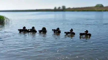 «Технику вывезти уже нельзя»: ВС РФ окружили крупную группировку ВСУ в ДНР