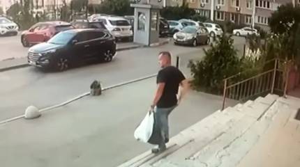 Западные СМИ: убитый в Киеве полковник СБУ координировал диверсии на «Северном потоке»