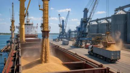 Почему России выгодно развернуть экспорт зерна через Каспий в Туркменистан