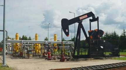 Чтобы выжить, ОПЕК+ придется утопить мир в нефти – эксперт