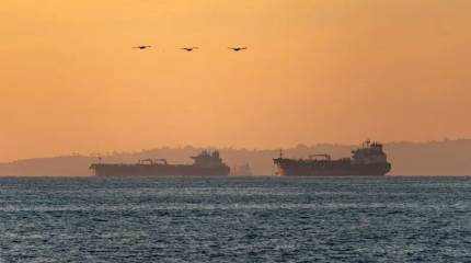 «Профессионалы, но не моряки»: РФ специфически защищает суда теневого флота