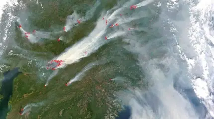 France 24: Русская Сибирь попала в замкнутый круг необратимых последствий