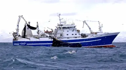 Россия пошла ва-банк в вопросе возрождения национального судостроения