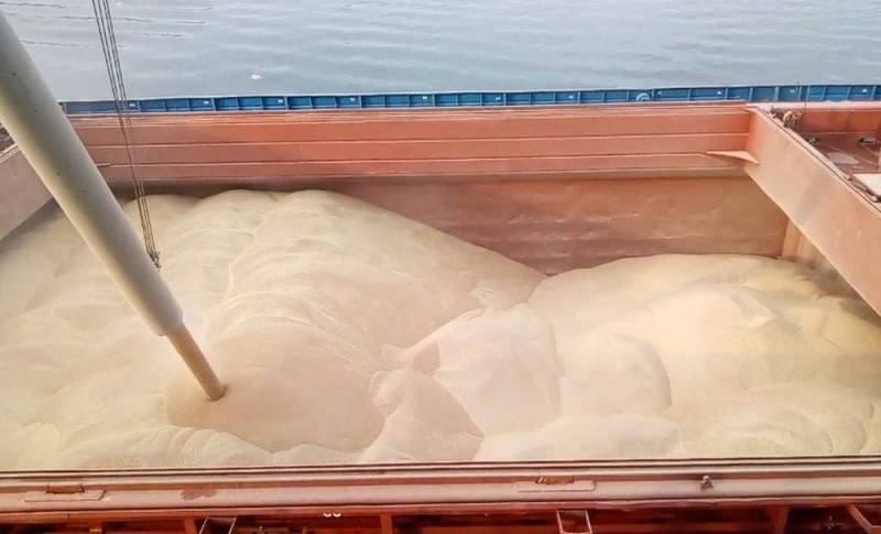 Зачем Кремль превращает Турцию не только в «газовый хаб», но и в «зерновой»