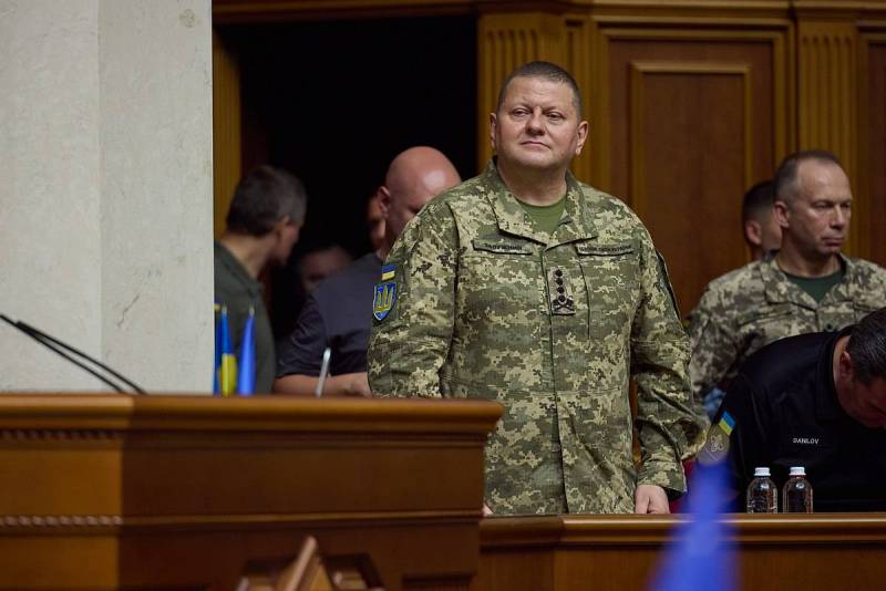 При каких условиях Залужный может свергнуть режим Зеленского