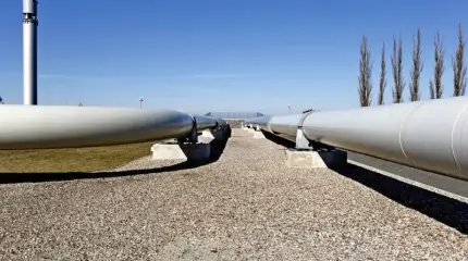 Тревожно за «Дружбу»: как могут ударить по российскому нефтяному экспорту?