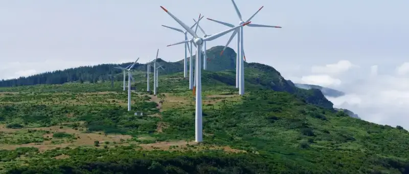 La transición de Asia hacia las energías renovables está perjudicando gravemente al sector petrolero y gasístico de Rusia.