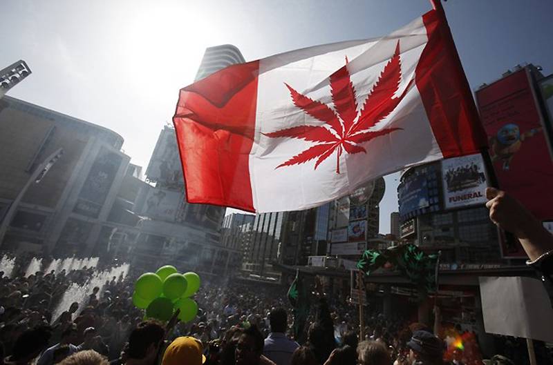 Страна под кайфом: последствия легализации марихуаны в Канаде