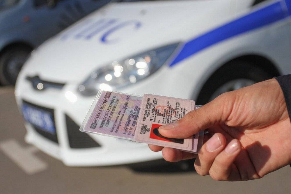 В России появятся электронные водительские права