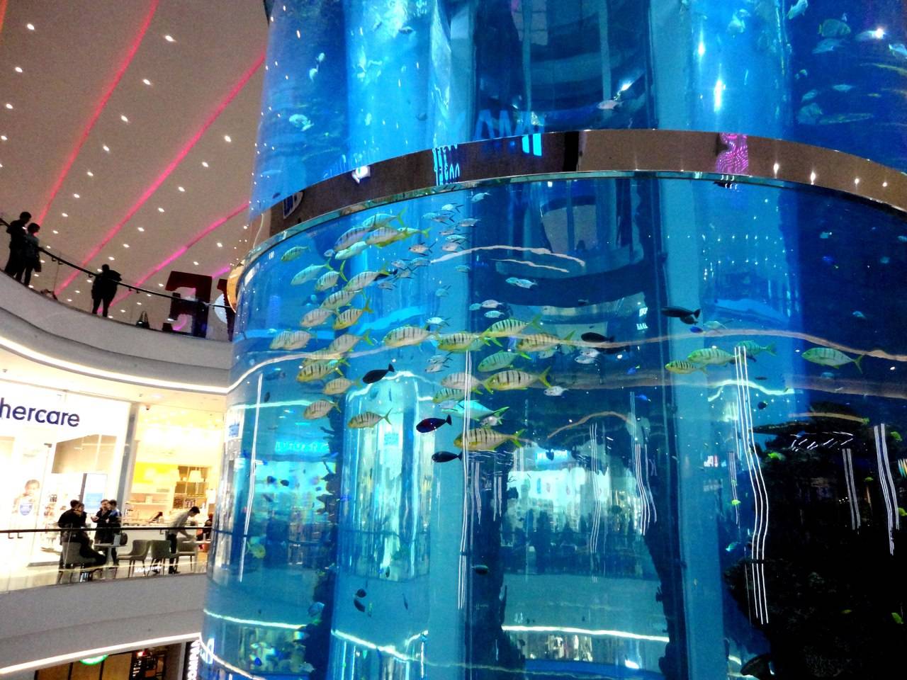 Тц аквариум москва