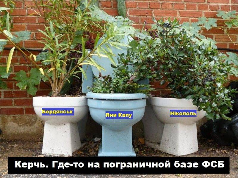 In Russia intend to send a parcel from the toilet to Ukraine