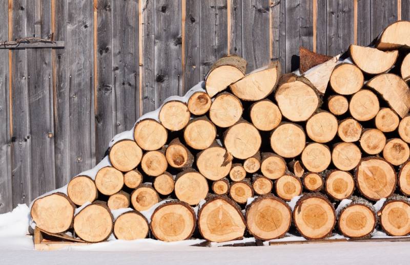 Переходит на дрова: Литва придумала, как избавиться от российского газа