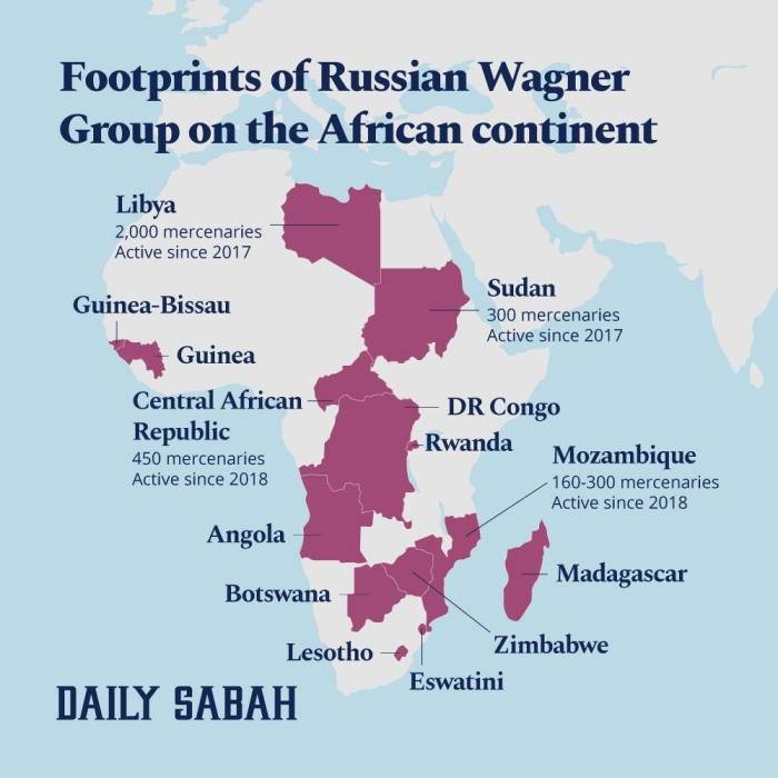 Turkish media: Wagner operates in 14 African countries