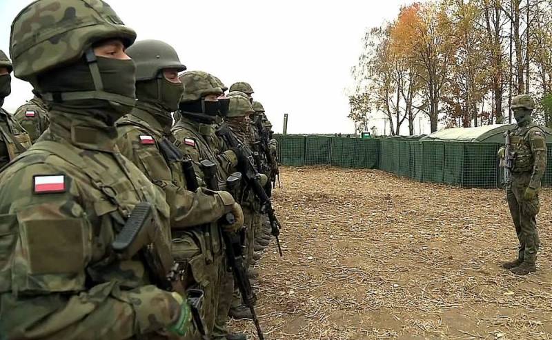 Документ: Польша введет войска на Украину 22 мая