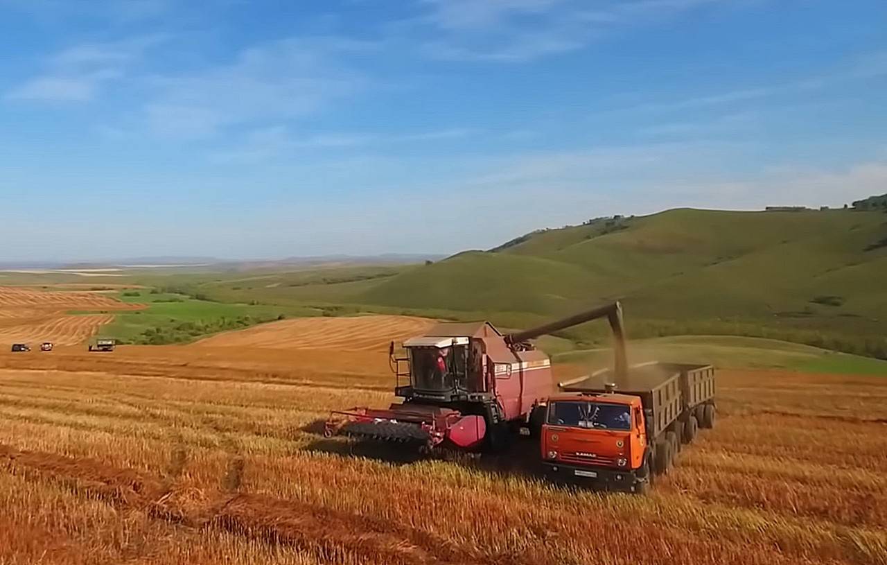 Россия в очередной раз побила рекорд по урожаю зерновых