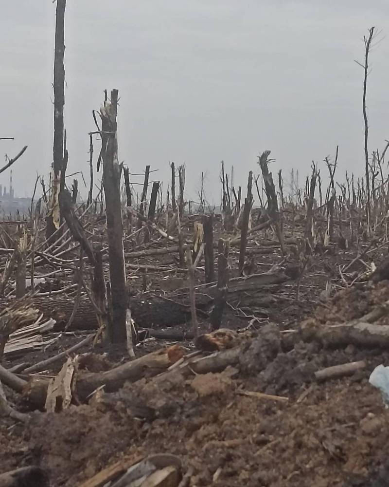 As Forças Armadas da Ucrânia mostraram as condições da guerra de trincheiras