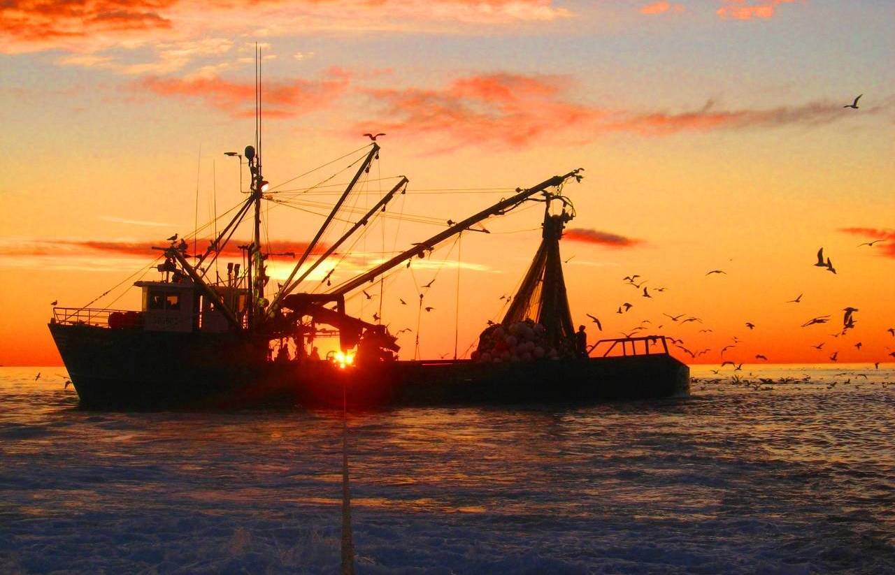 Москва не собирается обсуждать возможность промысла японских рыбаков у Южных Курил