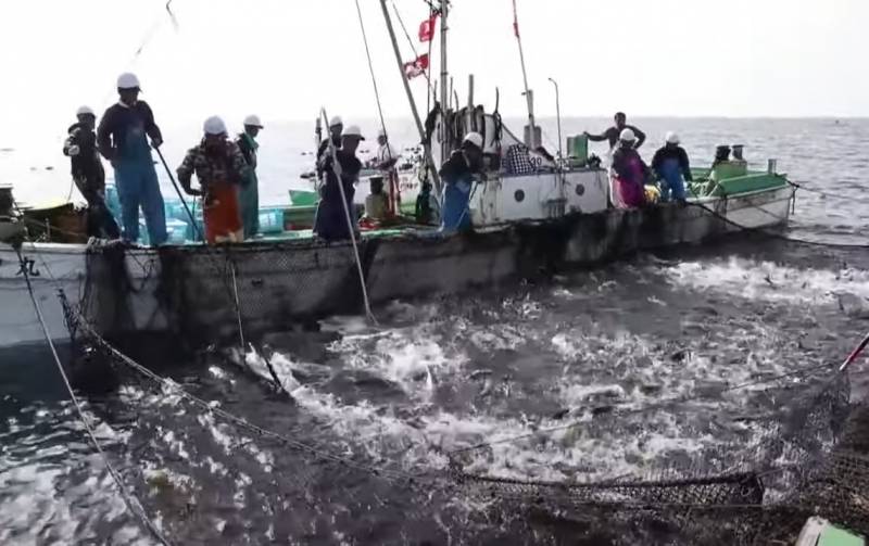 Токио возмущен отказом Москвы от обсуждения добычи рыбы в районе Курил