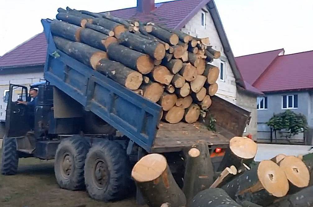 BM, Romanya'nın desteğiyle Moldova'ya yakacak odunla insani yardım sağlıyor