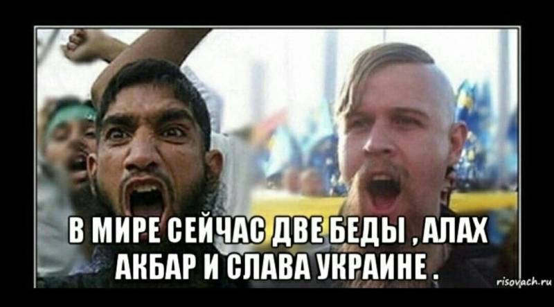 Хохлы кричат. Мемы про Хохлов. Хохлы мемы. Слава Украине мемы.