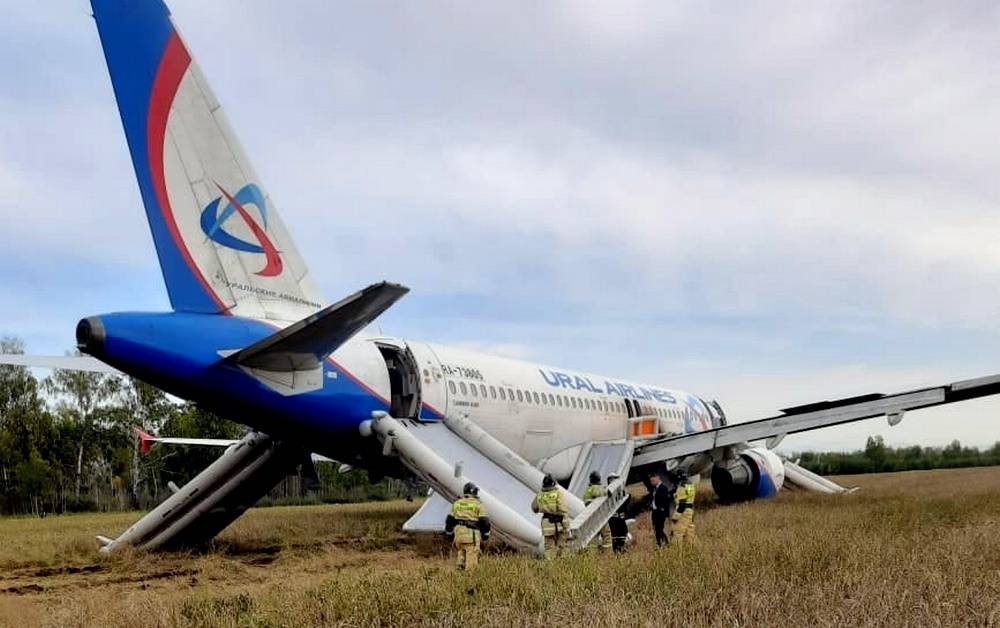 Самолет в поле новосибирск