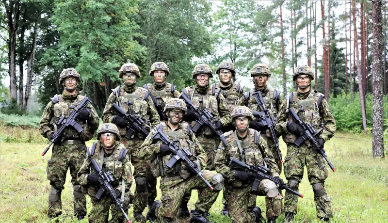 Способна ли эстонская рота обеспечить мир на Украине