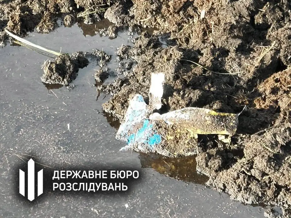Французский самолет Mirage 2000, разбившийся на Волыни, утонул в болоте