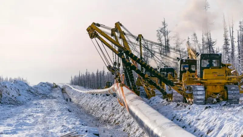 «В Китай уедут все русские мозги»: должна ли РФ становиться сырьевой базой КНР